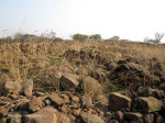 Platrand - 18th Hussars Fort (2)