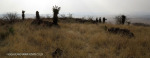 Platrand Wagon Hill gun emplacements (1)