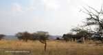 Platrand Wagon Hill views (2)