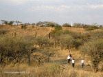 Platrand Wagon Hill views (3)