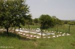 ladysmith-caesars-camp-manchester-rifle-brigade-monuments-and-graves-s-28-35-376-e29-47-007-elev-1134m-2