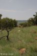 ladysmith-caesars-camp-scotts-pitts-v-c-site-markers-from-towers-tpr-jh-coldtcfoxrk-hulletmm-lawson-s28-35-403-e29-47-29-elev-1131-1