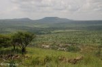 ladysmith-waggon-hill-i-l-h-views-s-28-33-467-e-29-45-574-1172m-1