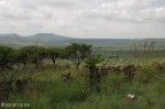 ladysmith-wagon-hill-views-south-s-28-33-467-e-29-45-574-1172m-5
