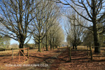 Lastingham - farm entrance) (4)
