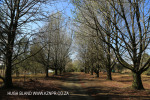 Lastingham - farm entrance) (6)