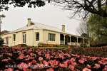 Lastingham - front facade (13.) (1)