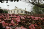 Lastingham - front facade (13.) (7)