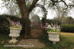 Lastingham - gardens (3)
