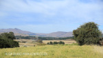 Lions Bush Farm Cemetery grave graveyard views (3)
