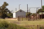 lions-river-station-shed-s-29-27-914-e30-09-265-elev-1055m-7