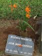 lydgeton-st-mathews-church-grave-jhw-bert-johnston-1