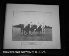 Lions River Polo Club  (1)