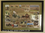 Lions River Polo Club photos  (1)