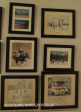 Lions River Polo Club photos  (15)
