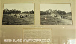 Lions River Polo Club photos  (17)