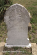Grave H Fortmann 1916