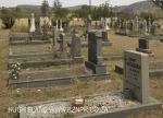 Grave Hagedorn and others