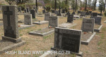 Graves Fortmann and Rohrs