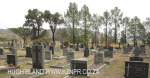 Graves Fortmann and others