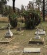 Graves Rencken and Driemeyer