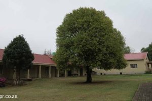 Luneburg & Braunschweig