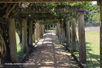 Lynton-Hall-exterior-pergola-3