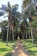 Lynton-hall-gardens-4