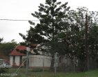 Magudu - Magistrates Offices