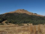 majuba-lower-south-western-slopes-10