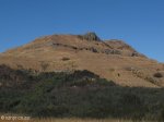 majuba-lower-south-western-slopes-11