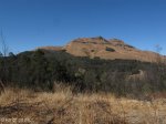 majuba-lower-south-western-slopes-8