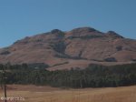 majuba-lower-south-western-slopes-9