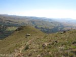 majuba-peak-s-27-28-633-e-29-50-924-elev-2114m-77-gordons-knoll