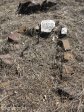 O'neils-cottage-family-graves-r-c-oneil-s27-30-01-e-29-51-25-35
