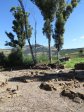 O'neils-cottage-family-graves-views-s27-30-01-e-29-51-25-40