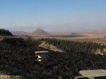 passes-bothas-pass-r34-top-s-27-37-55-e-29-42-46-elev-1787m-4