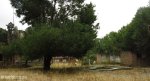 laings-nek-old-store-homestead-s-27-28-27-e-29-52-1