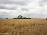 mt-prospect-farm-laings-nek-cemetary-from-west-view