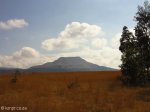 mt-prospect-farm-laings-nek-majuba-from-farm-2