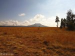 mt-prospect-farm-laings-nek-majuba-from-farm-4