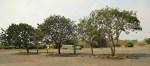 Mandini Sports Club - car park