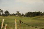 Mandini Sports Club - golf fairways  (2)