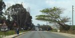 Mangusi - Entrance from Mbaswana (5)