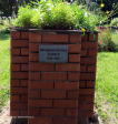 Mariannhill-Cemetery-Grave-BR-Bonaventura-Daniels