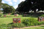 Mariannhill-Cemetery-Grave-Sisters-Haslin-Thienel-and-others