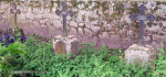 Mariannhill-Cemetery-Graves-Jaeger