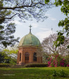 Mariannhill Church of the Sacred Heart (2)