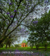 Marrianhill Monastry - Sacred Heart Chapel (3).psda