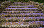 Marrianhill - steps to the Grotto (7)
